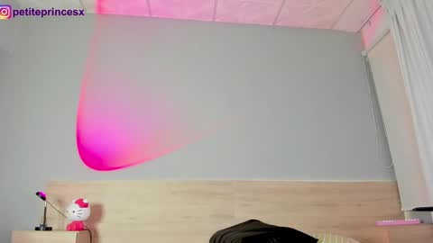 Snapshot of petiteprincesx chatting on December 13, 2024, 11:28 pm Petiteprinces online show from December 13, 2024, 11:28 pm