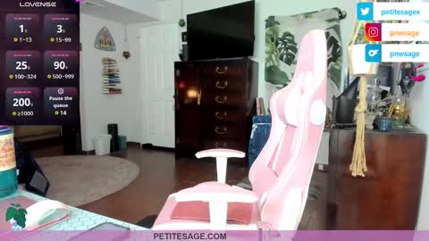 petitesage online show from December 25, 2024, 11:53 pm