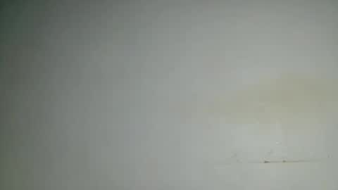 petitgirl88 online show from June 22, 2026, 4:09 am