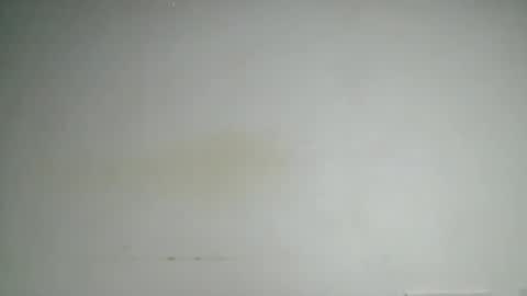 petitgirl88 online show from June 24, 2026, 5:39 am