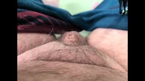 petrol63102 online show from March 13, 2026, 10:55 am