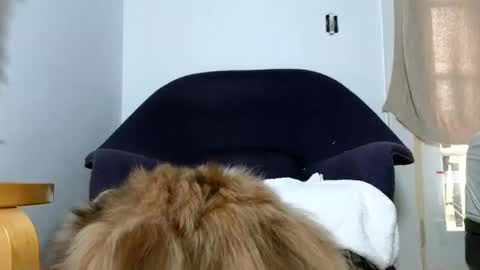 TheSkyeWoods online show from December 9, 2024, 5:52 pm