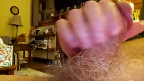 Phil online show from December 17, 2024, 4:34 am