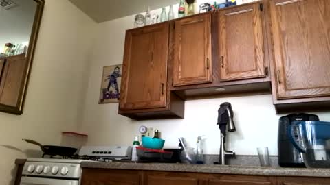 Snapshot of phildoesart chatting on January 25, 2025, 4:57 pm Phil online show from January 25, 2025, 4:57 pm