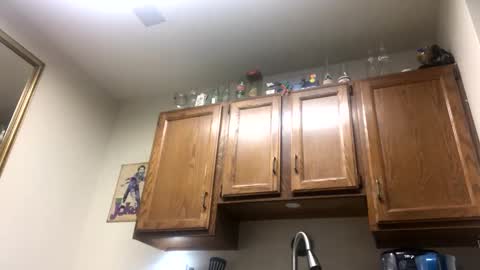 Snapshot of phildoesart chatting on February 2, 2025, 2:38 am Phil online show from February 2, 2025, 2:38 am