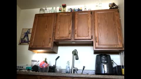 Snapshot of phildoesart chatting on March 2, 2025, 5:58 pm Phil online show from March 2, 2025, 5:58 pm