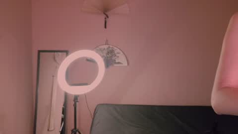 phoenixx_x online show from July 26, 2026, 8:27 pm