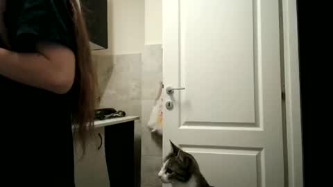 Snapshot of pieceofmoon chatting on December 15, 2025, 8:35 pm Moonie online show from December 15, 2025, 8:35 pm