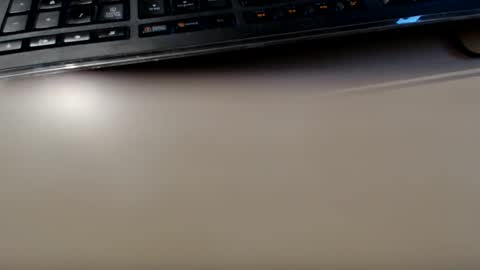 pier49x online show from January 12, 2025, 3:57 pm