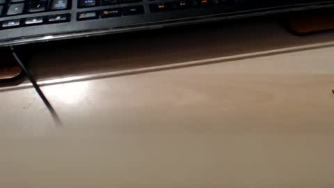 pier49x online show from February 10, 2025, 3:35 am