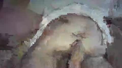 piggyplaypen online show from June 3, 2026, 8:36 pm