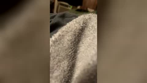 pimpdaddyscott online show from July 21, 2026, 4:37 am