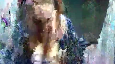 Carol online show from May 11, 2026, 3:45 am