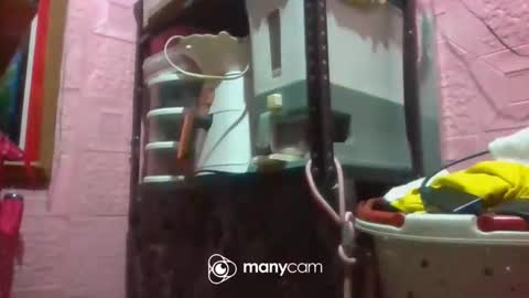 Snapshot of pinaythali08 chatting on November 21, 2025, 3:11 pm PinayThali08 online show from November 21, 2025, 3:11 pm