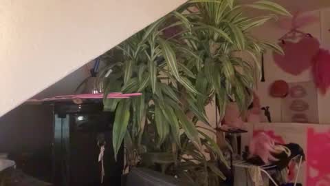 pinkfag online show from March 31, 2026, 5:57 pm