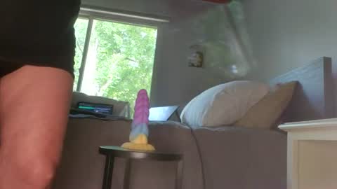Lacey online show from July 19, 2026, 2:32 pm