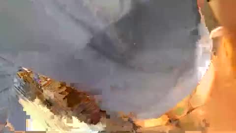 pippetta1 online show from November 21, 2025, 3:00 pm