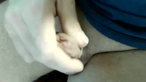 Snapshot of pippo2704 chatting on May 31, 2026, 9:16 pm pippo online show from May 31, 2026, 9:16 pm