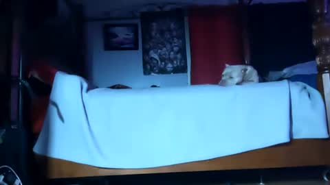 Snapshot of playboy5543 chatting on January 20, 2025, 6:10 am SEX ADDICTION WANNA MEET online show from January 20, 2025, 6:10 am