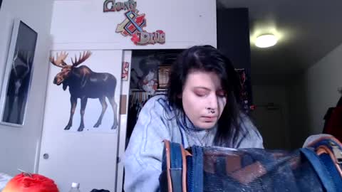 pleasantdinosaurus7537 online show from July 21, 2026, 6:38 am