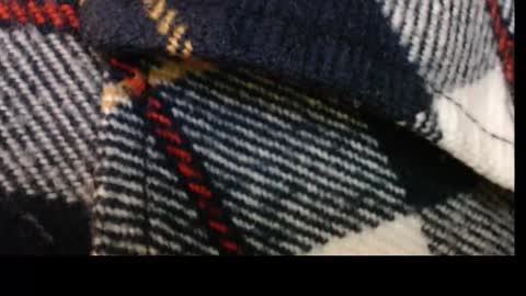 pllkgh45ymn online show from September 10, 2025, 4:40 pm