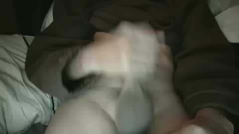 plmokn3005 online show from December 3, 2024, 11:33 am