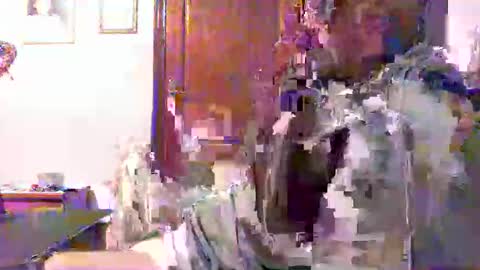 Snapshot of plu07f3520 chatting on April 9, 2026, 12:43 am plu07f3520 online show from April 9, 2026, 12:43 am
