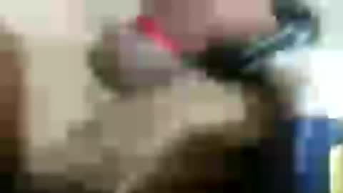 plug768785628 online show from July 18, 2026, 3:38 pm