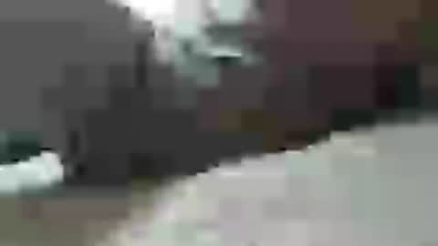 plug768785628 online show from July 22, 2026, 9:34 am