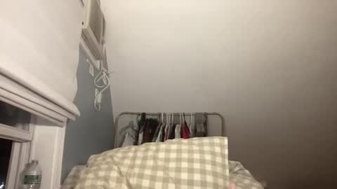 stariette online show from February 15, 2026, 2:08 am