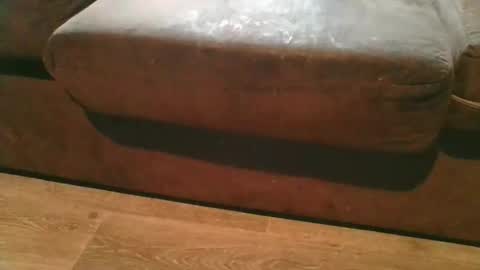 pokerfffface79 online show from February 17, 2026, 9:43 pm