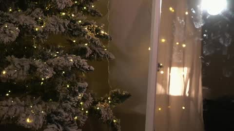    online show from December 26, 2024, 9:04 pm