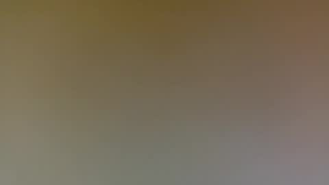 Snapshot of poprigyn53535 chatting on September 13, 2025, 10:15 am Poprigyn53535 online show from September 13, 2025, 10:15 am