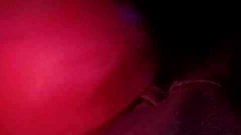 Snapshot of porkchop696974 chatting on February 20, 2026, 6:59 am porkchop696974 online show from February 20, 2026, 6:59 am