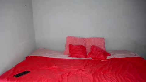 NICKKYMARTIN online show from February 19, 2025, 3:06 am