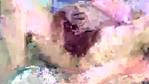 dikud0wn online show from September 14, 2025, 2:22 am