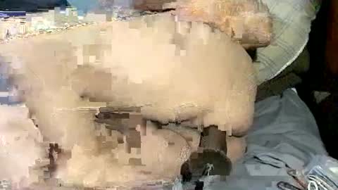 dikud0wn online show from September 23, 2025, 7:11 am