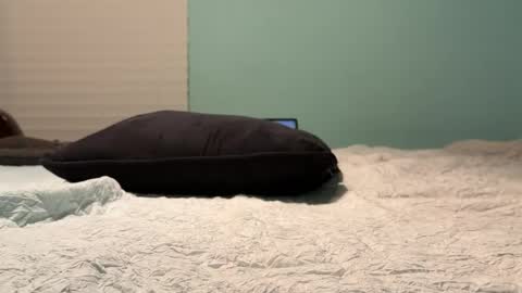 Snapshot of poundkakes chatting on July 11, 2026, 3:31 am poundkakes online show from July 11, 2026, 3:31 am
