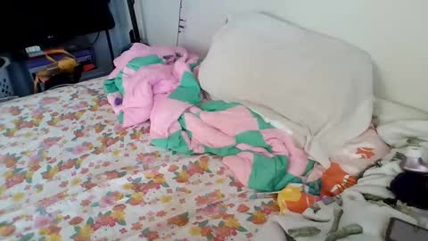 PAWG Pale Princess online show from January 20, 2025, 4:34 pm