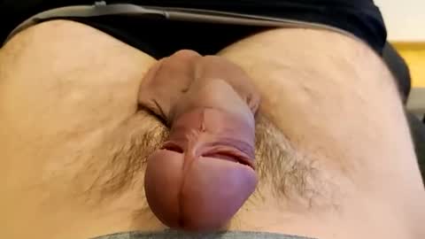 precummilker online show from December 13, 2024, 8:58 pm