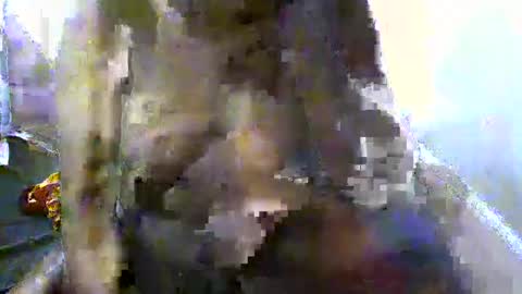 pretty_barbz online show from March 8, 2025, 3:06 am