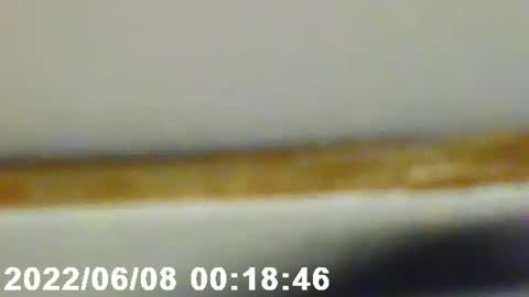 Snapshot of pretty_boy_jack chatting on February 12, 2025, 2:56 am pretty_boy_jack online show from February 12, 2025, 2:56 am