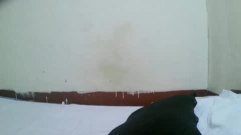 pretty_mellan online show from January 30, 2025, 11:22 am