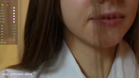 Snapshot of pretty_princess_elina chatting on January 25, 2025, 5:30 pm Elina online show from January 25, 2025, 5:30 pm