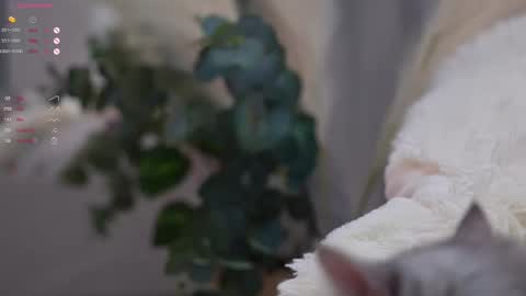 Snapshot of pretty_princess_elina chatting on March 11, 2025, 7:03 pm Elina online show from March 11, 2025, 7:03 pm