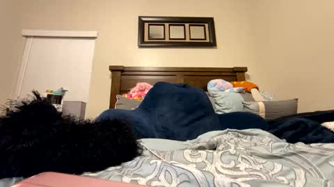 Snapshot of prettyfacefemale chatting on February 19, 2026, 7:04 am prettyfacefemale online show from February 19, 2026, 7:04 am