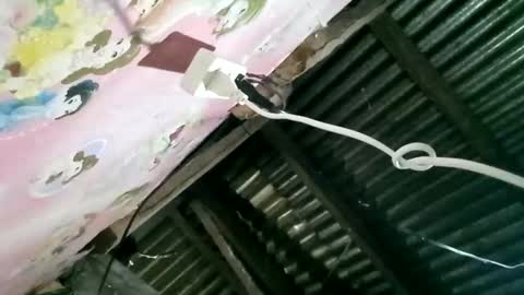 prettyneca5991 online show from February 24, 2026, 9:35 pm