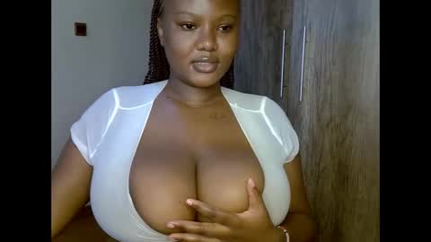 Snapshot of prettypearl_ chatting on December 11, 2024, 1:17 pm pearl online show from December 11, 2024, 1:17 pm