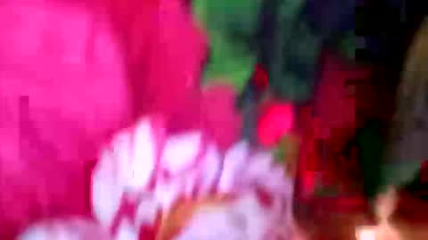 prettyrose01 online show from April 21, 2026, 11:29 pm