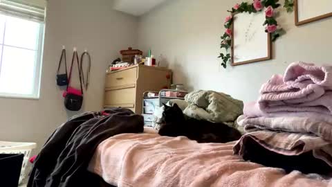 Snapshot of princessbaby525 chatting on May 9, 2026, 3:39 pm Sable online show from May 9, 2026, 3:39 pm